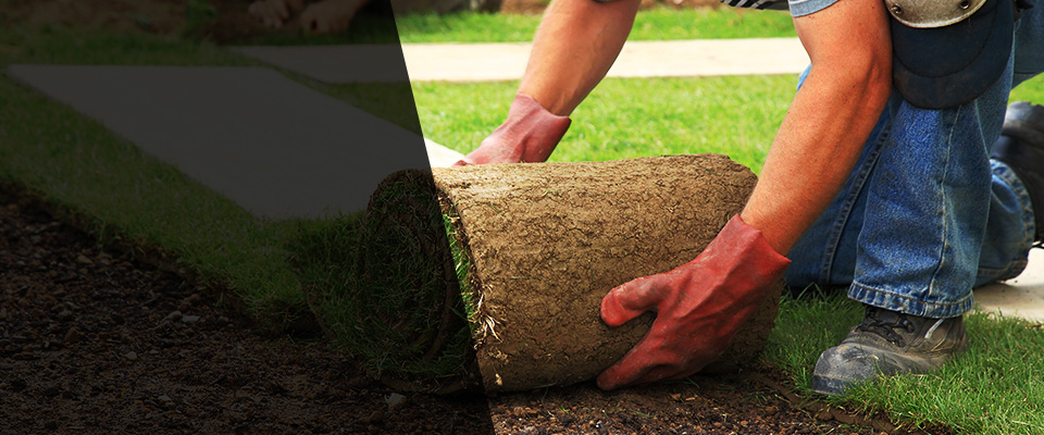 Okemos Landscapers